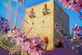 Palacio de la Cotilla