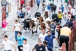Cuarto y último encierro de las Ferias y Fiestas de Guadalajara 2025