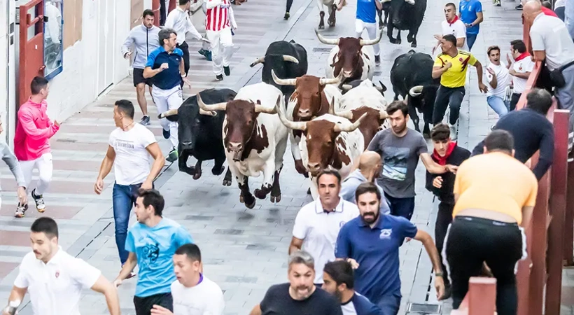 Cuarto y último encierro de las Ferias y Fiestas de Guadalajara 2025