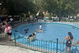 Octava edición de ACUADOG Guadalajara