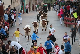 Primer encierro por el casco histórico durante las Ferias y Fiestas 2025