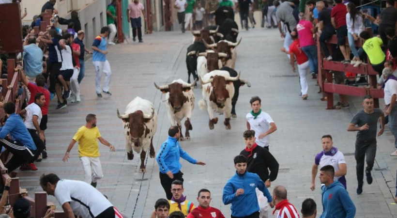 Primer encierro por el casco histórico durante las Ferias y Fiestas 2025
