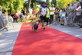  Desfile Perruno organizado por La Camada, Asociación protectora de animales y plantas de Guadalajara