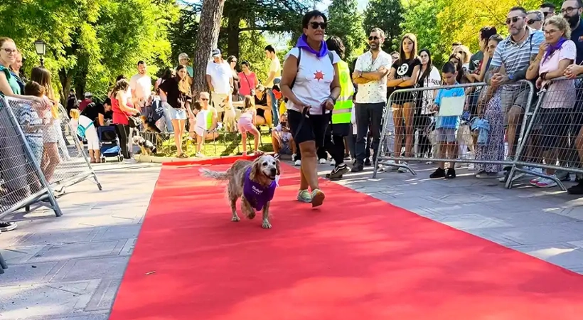  Desfile Perruno organizado por La Camada, Asociación protectora de animales y plantas de Guadalajara