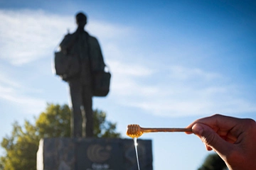 Guadalajara estimula tus cinco sentidos, de Eva C. Montero Rodríguez