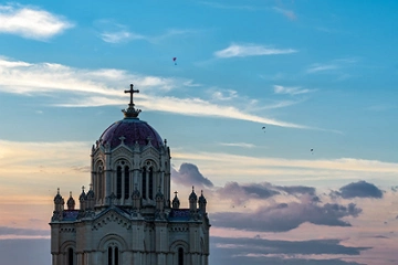 Como pájaros, de Teresa Arias Ferreira
