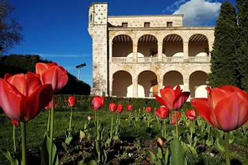 Guadalajara es color, de Rebeca Cantarero