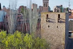 Torreón del Alamín