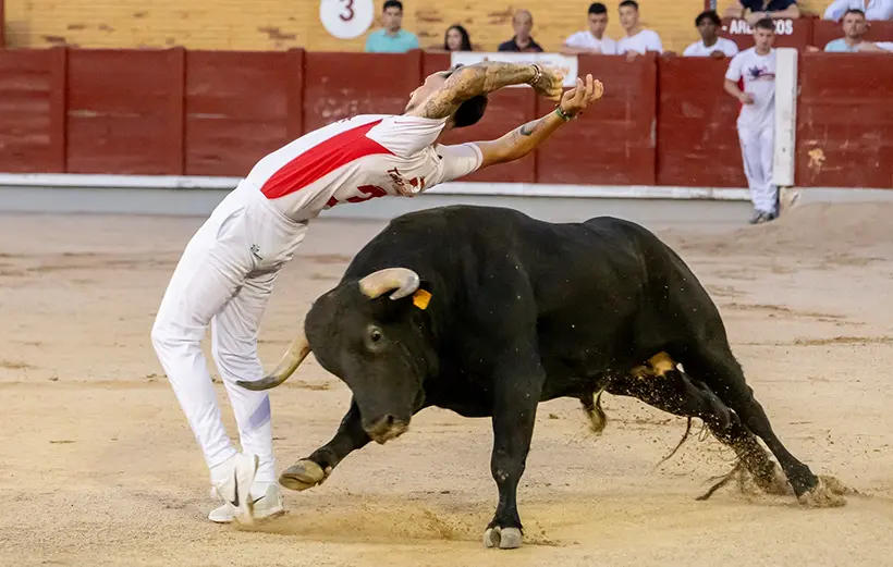 Recortador durante el Campeonato de España de Recortadores