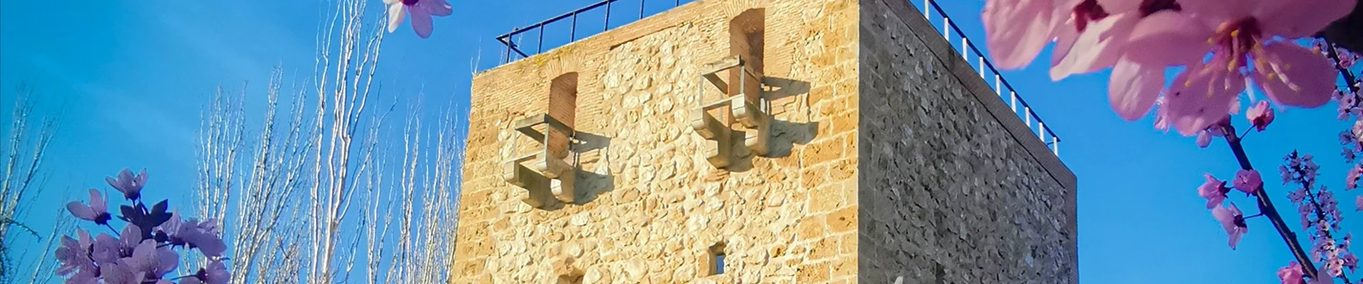 Exterior del Torreón del Alamín