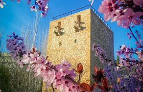 Exterior del Torreón del Alamín
