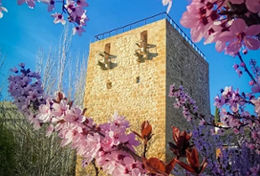 Exterior del Torreón del Alamín