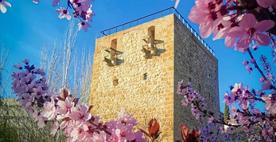 Exterior del Torreón del Alamín