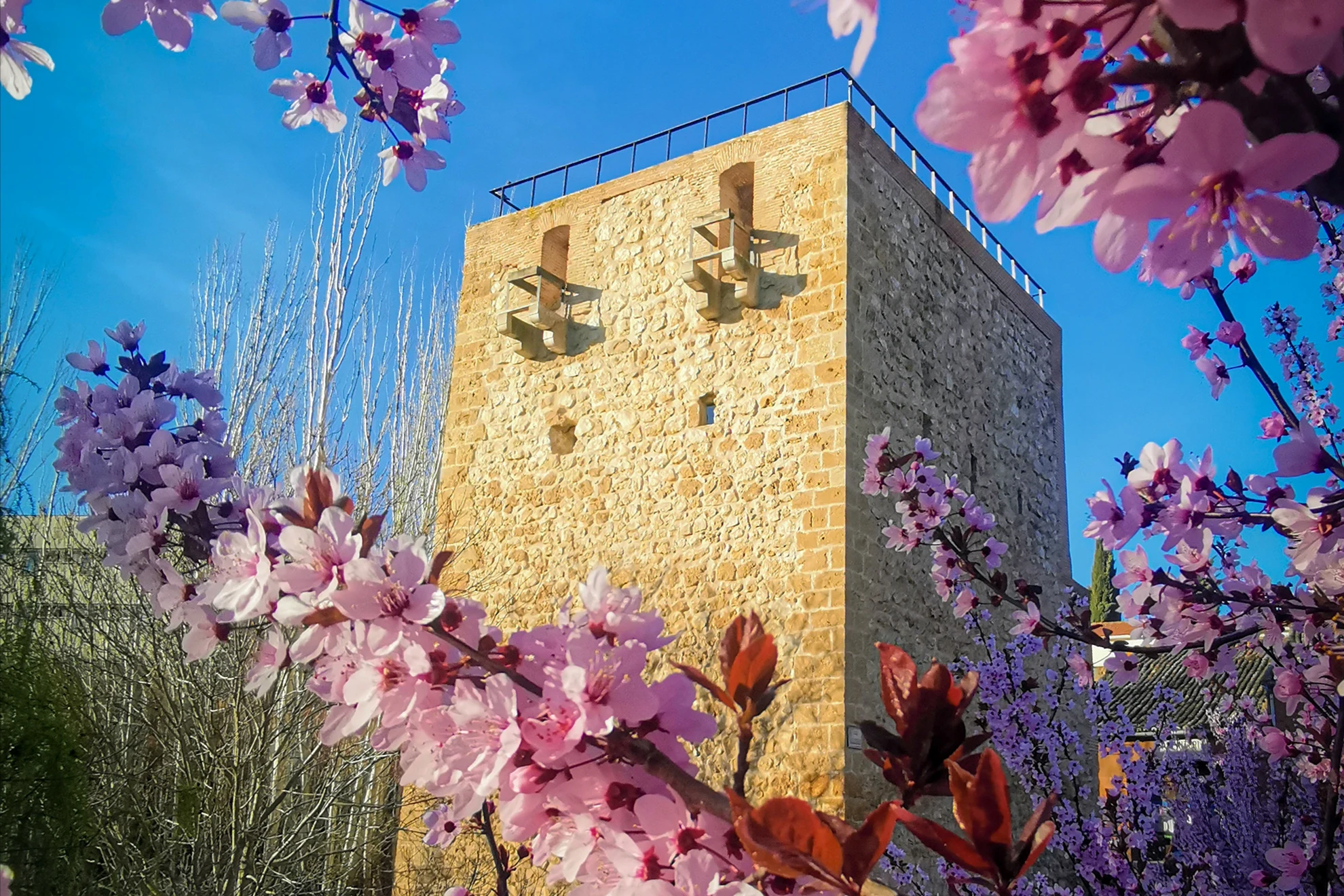 Exterior del Torreón del Alamín