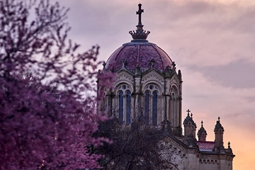 Guadalajara es morada, David Utrilla Garcia