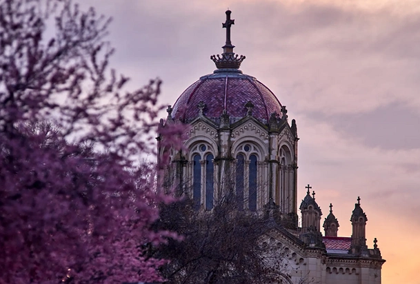 Guadalajara es morada, David Utrilla Garcia