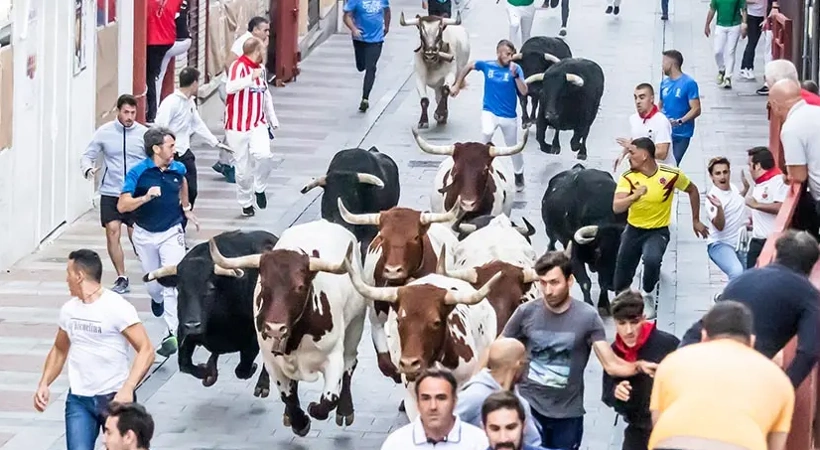 Encierro urbano del ciclo taurino en Guadalajara