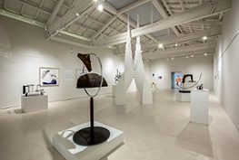 Museo Francisco Sobrino 2
